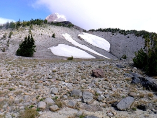 So much of the blue bird day