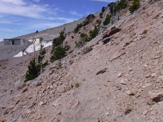 This is the almost a trail. 7300 ft. and turn around point.