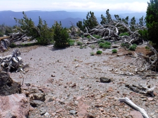 Nice alpine camp site
