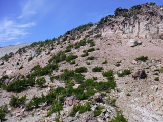 You can almost make out the start of switch back before it disappears