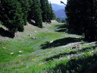 Return to nice green meadow on Lower Wizard Way