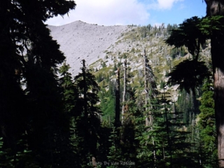 A view of the Middle moraine from Jacks wood trail