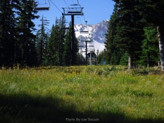 Back under chairlifts again