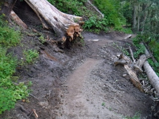 Trail crews put a lot of work in to fix the trail