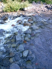 Wet boot crossing on the ZigZag River