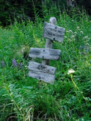 Once again I head up the Paradise Park Trail