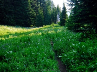 The landmark stump to let you are on route