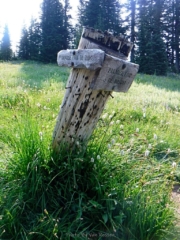 Junction with Paradise Park Loop Trail