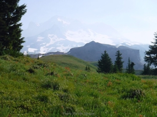 It had gotten smokier