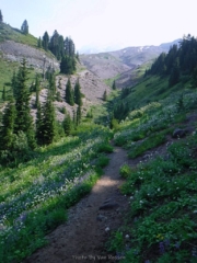 Lost Creek Valley but no Mt. Hood