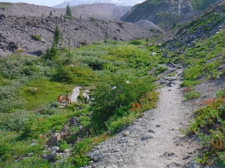 A couple of young ladies work on sketches of flowers