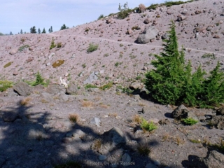 From green to volcanic ash and boulders