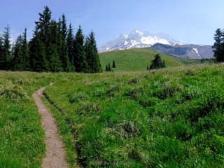 Heading up Paradise Park user trail