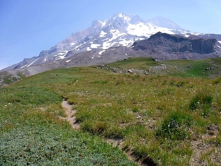 Mississippi Head wall come into view