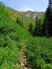 Heading back down the Paradise loop trail