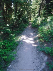 Bake in the trees and almost back to the PCT