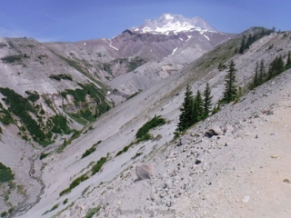 Smoke had clear enough to see Mt. Hood from the ZigZag view point