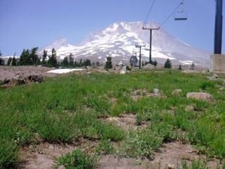 Back to the Chair lefts and time to go home