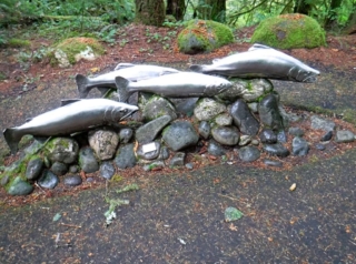 WildwoodBLM_DSCF9117