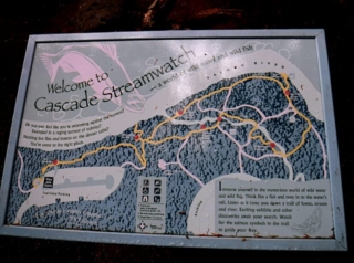 WildwoodBLM_DSCF9119