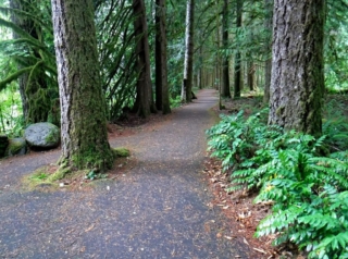 WildwoodBLM_DSCF9122