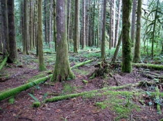 WildwoodBLM_DSCF9123