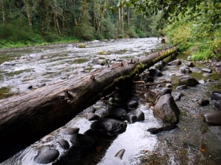 WildwoodBLM_DSCF9134