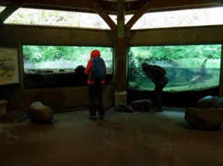 WildwoodBLM_DSCF9143