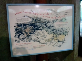 WildwoodBLM_DSCF9144