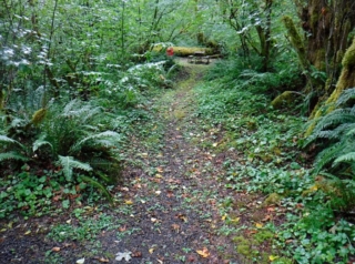 WildwoodBLM_DSCF9148