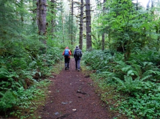 WildwoodBLM_DSCF9151