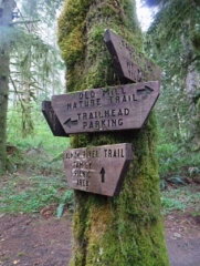 WildwoodBLM_DSCF9163