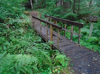 WildwoodBLM_DSCF9164