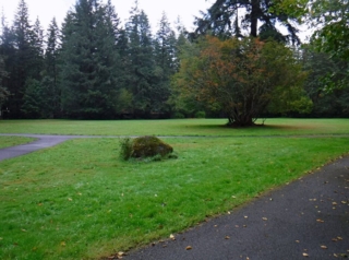 WildwoodBLM_DSCF9170