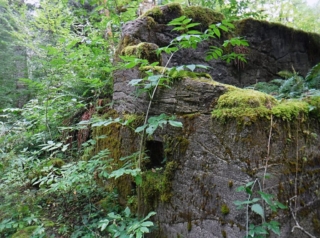Concrete structure left from the old mill