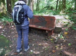 There many carve commemorative benches along the trails