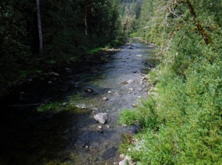 The Salmon River