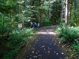 Heading off to the Wetland Boardwalk