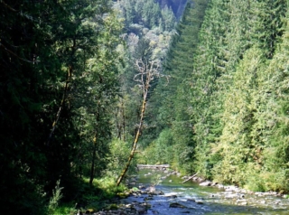 Back over the Salmon River