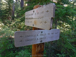Time to turn onto the Umbrella Falls trail