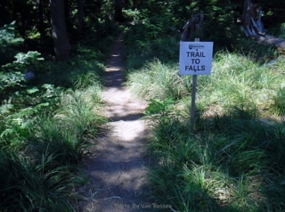 We are on the right trail