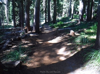 Trail just before the falls