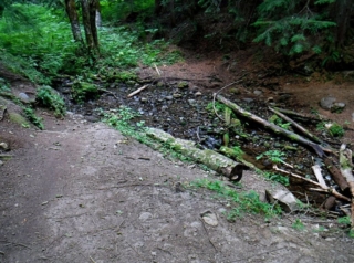 A creek to cross and a change trail conditions