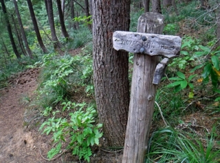 Now the exploration of a new trail begins