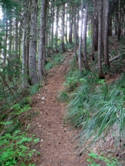 Start of ZigZag Mt. heading East