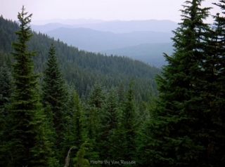 Smoke blocks the view of Mt. St. Helens today