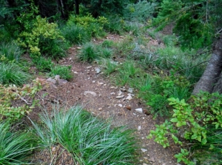 The trail take a steep down angle