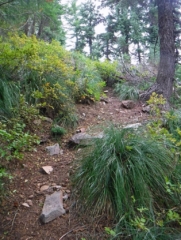 When you go down you have to go back up