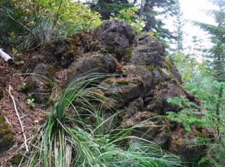 I see sad faces and bears in this rock