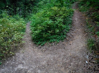 Heading down the switch backs